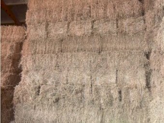 Lucerne Small Square Bales - 25kg per Bale