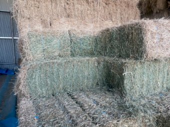 Lucerne Small Square Bales - 25kg per Bale