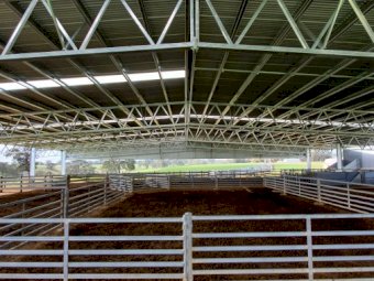 Action Steel Sheep & Cattle Yard Covers