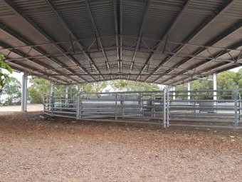 Action Steel Sheep & Cattle Yard Covers
