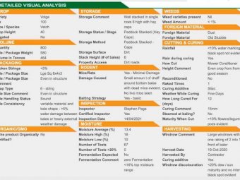 Vetch Hay 8x4x3 Bales