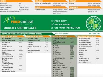 Vetch Hay 8x4x3 Bales