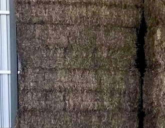 100mt Vetch Hay 500kg 8x4x3 Bales