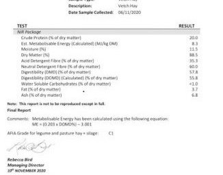 100mt Vetch Hay 500kg 8x4x3 Bales