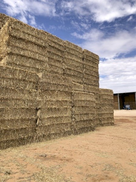 Oaten Hay 8x4x3 Bales