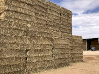 Oaten Hay 8x4x3 Bales