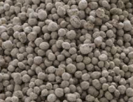 MAP - Ex Geelong & Newscastle