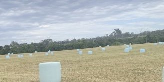 200 X Lucerne & Rye Silage 4x4 Round Bales (Feed Tested)