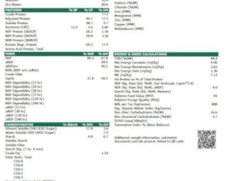 120 Vetch Hay 8x4x3 Bales