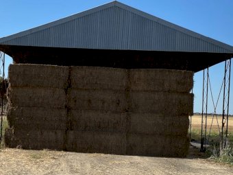 180mt Vetch Hay 600kg 8x4x3 Bales + Freight