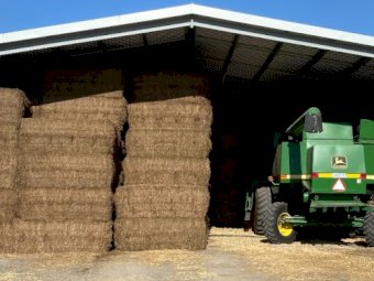 180mt Vetch Hay 600kg 8x4x3 Bales + Freight
