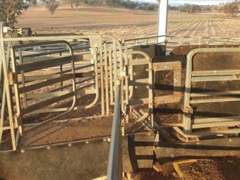 Under Auction - (A147) - 2015 Gallagher Pneumatic Auto Drafter & Handler 