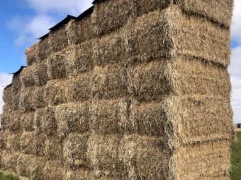 20mt Ryegrass Clover Hay 8x4x3 Bales