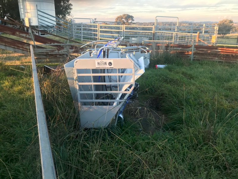 Hecton Pneumatic Sheep Handler