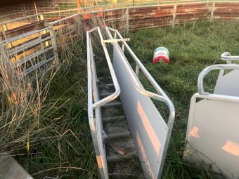 Hecton Pneumatic Sheep Handler