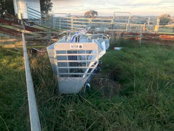 Hecton Pneumatic Sheep Handler