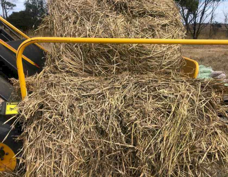 Barley & Ryegrass Hay 5x4 Rolls