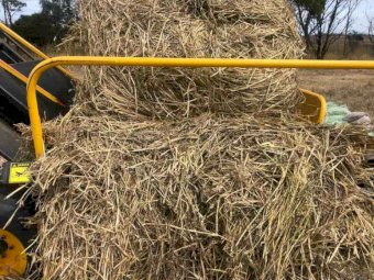 Barley & Ryegrass Hay 5x4 Rolls