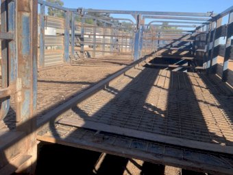 Duncan 45 ft 2x1 Stock Crate