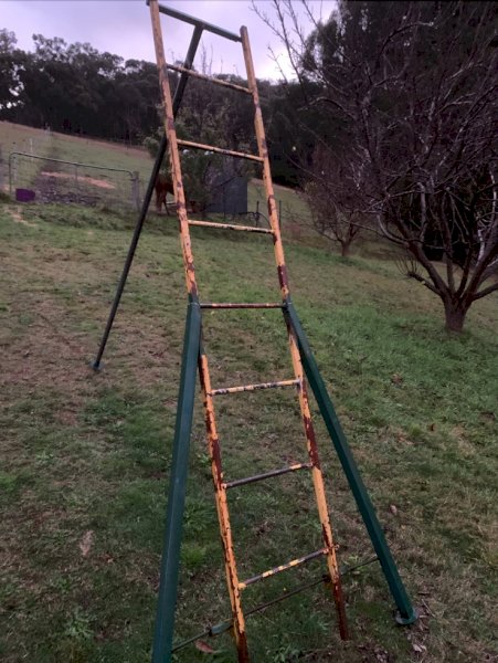 Fruit Pickers Ladder
