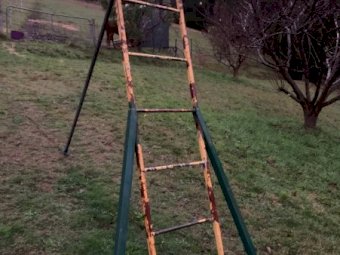 Fruit Pickers Ladder
