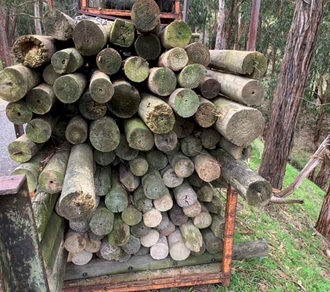 Assorted Pine Posts