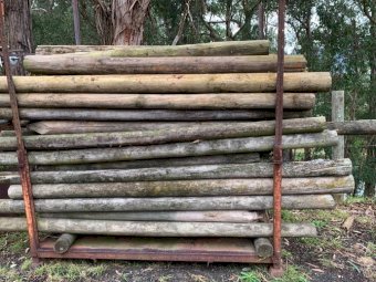 Assorted Pine Posts