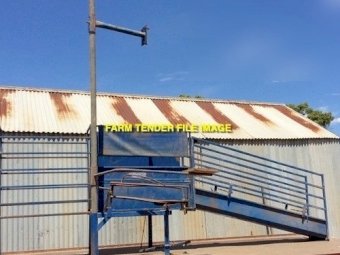 Harrington Sheep Handler or Gun Crutcher Wanted