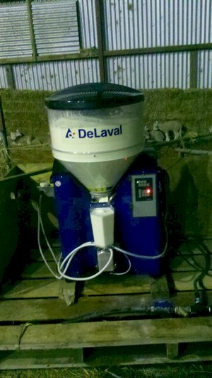 WANTED Lamb Milking Machine