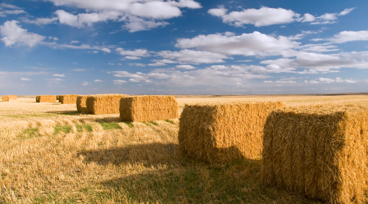 Pope Packaging Blue Tiger XXX Baling Twine 2 x 1100m Spools