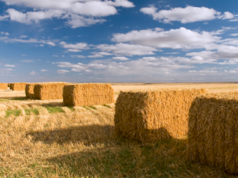 Pope Packaging Blue Tiger XXX Baling Twine 2 x 1100m Spools