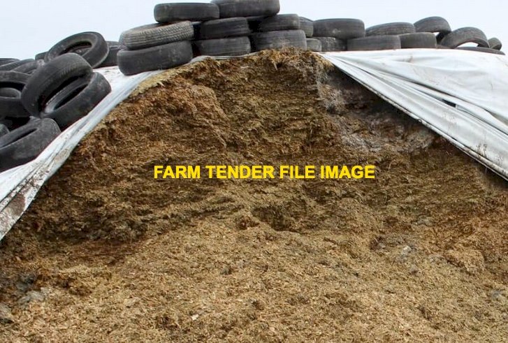 WANTED Corn or Sorghum Silage