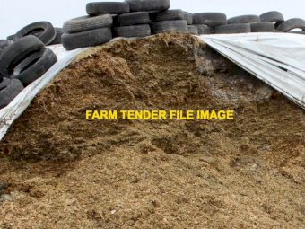 WANTED Corn or Sorghum Silage