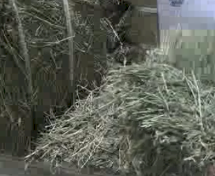 Lucerne Hay Eco Bales