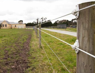 Gallagher Equine Fence Wire