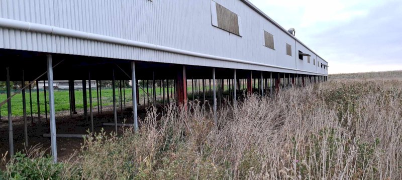 Corrugated Iron (Shed L 72m X W 13m X H  3m)
