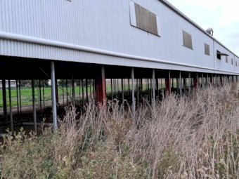 Corrugated Iron (Shed L 72m X W 13m X H  3m)