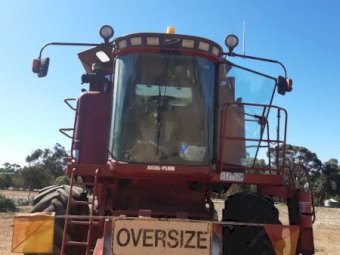 1999 Case IH 2388 Header & 1042 Header