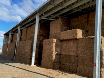 600mt Vetch Hay 640kg 8x4x3 Bales (New Season)