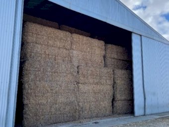 300mt Vetch Hay 600kg 8x4x3 Bales (19/20)