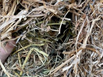 300mt Vetch Hay 600kg 8x4x3 Bales (19/20)