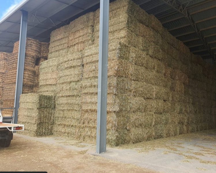 A Grade Oaten Hay Shedded
