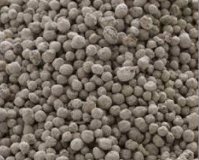 **Hot Product** MAP - Ex Geelong