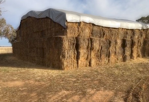 500mt Oaten Hay 530kg 8x4x3 Bales