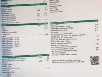 500mt Oaten Hay 530kg 8x4x3 Bales