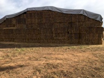 500mt Oaten Hay 530kg 8x4x3 Bales