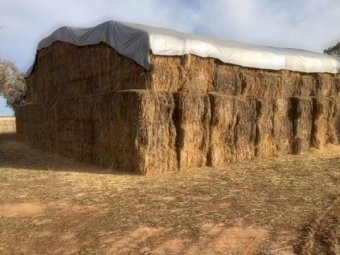 500mt Oaten Hay 530kg 8x4x3 Bales