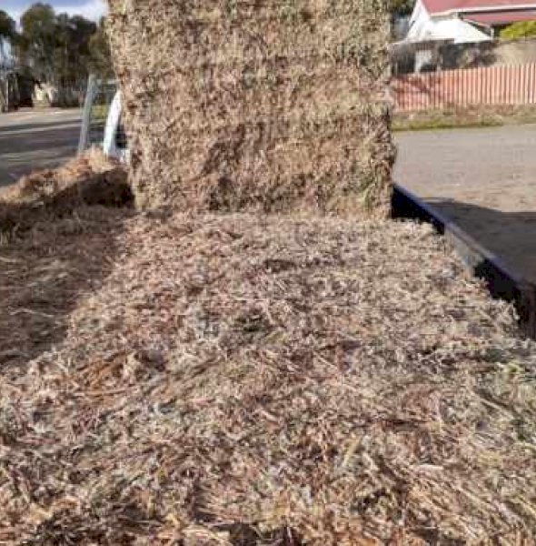 200 Bales of Vetch Hay 2019 Season Shedded