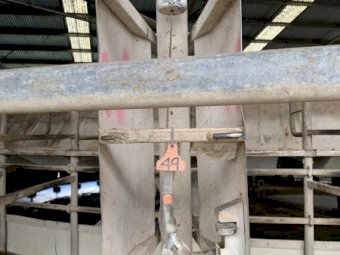 20 Waikato Ultimate Cup Removers