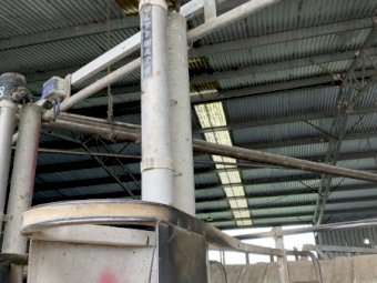 20 Waikato Ultimate Cup Removers